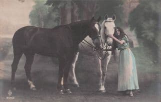 Gypsy French Lady By Her Horses Sexy Glamour Tinted Old Postcard