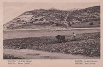 Haiffa Mount Carmel Judaica Israel Old Postcard