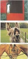 Hampshire Horses Laughing Giggling Nose Fight 3x Comic Postcard s