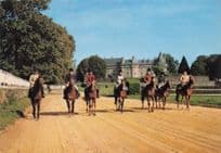Haras De Pompadour French Horse Racing Hippodrome Postcard