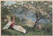 Hardanger National Costume Norway Postcard