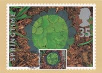 Hazel Leaves Tea Greens Floral Photo Art First Day Cover Postcard