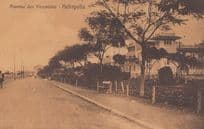 Heliopolis Avenue Des Piramides Antique Postcard