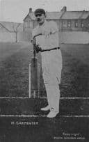 Herbert Carpenter Essex Cricket Antique Real Photo Postcard