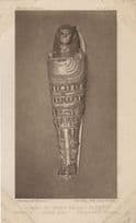 Heru Netch Tefef Egyptian Mummy Antique Tomb Egypt Postcard