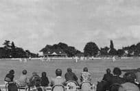 Hesketh Park Dartford Cricket Club Ground Rare Photo Postcard