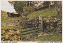 High Sweden Lane Ambleside Cumbria Womens Institute Postcard