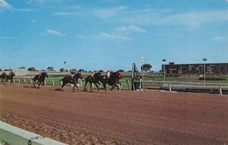 Hipodromo Ciucad Juarez Horse Racing Mexico Postcard