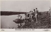 Hippopotamus Shooting On the Sobat Egypt Hunting Old Postcard