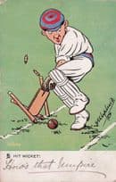 Hit Wicket Cricket Comic Antique Postcard Please Read