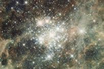 Hodge 301 Tarantula Milky Way Nebula Star Cluster Astronomy Postcard