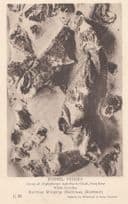 Hoplopteryx Superbus Kent Fossil Fish Fishes Antique Postcard