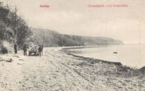 Horse & Cart Strandparti Ved Ornereden Aarhus Denmark Old Postcard