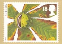 Horse Chestnut Rare 1993 Postcard