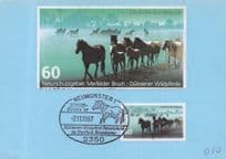 Horse Dulmener Wildlife Park German Zoo Rare FDC Postcard