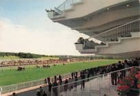 Horse Race At Longchamp Piste France Finishing Line Rare Postcard
