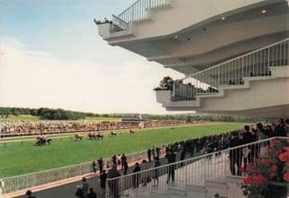 Horse Race At Longchamp Piste France Finishing Line Rare Postcard