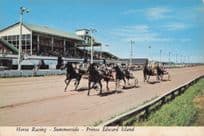 Horse Racing Summerside Prince Edward Island Canada Postcard