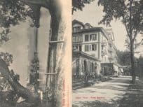 Hotel Bellevue Thun Gruss Aus Thunersee 2x Switzerland Old Postcard s