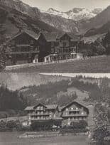 Hotel Pension Alpenruhe Antique 2x Adelboden Switzerland Postcard s