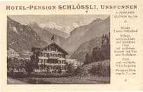 Hotel Pensions Schlossli Unspunnen Switzerland Old Advertising Postcard
