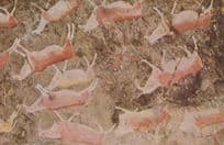 Hunting Rock Painting Zaamenkomst Maclear District Africa South African Postcard