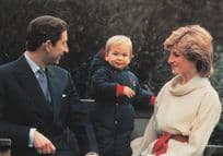 I Can Now Stand ! Prince William At 1 Half Years Old Royal Postcard