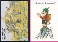 I Climbed Snowdon 2x Mountaineering Map Welsh Comic Postcard s