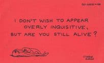 I Dont Wish To Appear Inquisitive But Are You Still Alive Motto Proverb Postcard