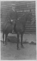 Identified Lord Private Polo Pony Horse Collection Old Real Photo Postcard