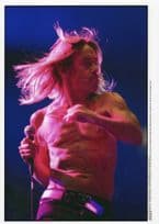 Iggy Pop 2010 Live At Monaco Concert 10x8 PB French Press Photo