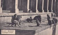 Indian Monkeys at Durga Temple Antique Postcard