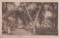 Ismailia The Square Egypt Champallions Old Egyptian Postcard