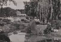 Jardin Botanique Geneve Swiss 1950s Real Photo Postcard