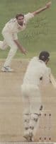 Jason Gillespie Cricket Hand Signed Newspaper Ephemera