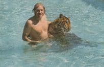 John Aspinall Zoo & Casino Owner at Howletts 1970s Tiger Postcard