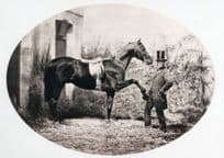 John Solomon Rarey Victorian Horse Rights Cruiser Real Photo Postcard