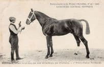 Joinville La France Chevaline Race Horse Antique 1912 PB Postcard