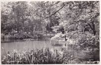 Kalmar Stadparken Real Photo Sweden Postcard
