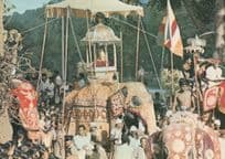 Kandy Perahera Sri Lanka Elephant Procession Rare Colombo Postcard