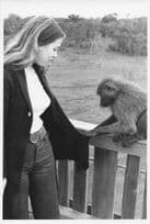 Kenya Baby Baboon Playing With Woman Vintage Africa Press Photo