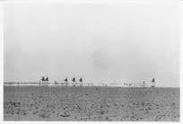 Kenya Camel Riders Stunning Photo Art 10x8 African Photograph