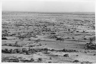 Kenya Farming Cattle Amazing Aerial Large 10x8 Vintage African Photo