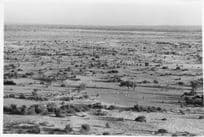 Kenya Farming Cattle Amazing Aerial Large 10x8 Vintage African Photo