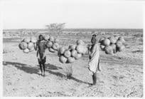 Kenya Weightlifters Strongmen Carrying Fruit Africa 10x8 Photo