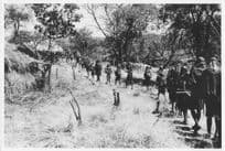 Kenyan Unidentified Tribe Procession Official Large 10x8 Vintage African Photo