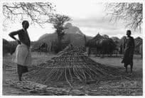 Kenyan Women Camels Housing Camp Official Large 10x8 Vintage African Photo