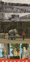 Krefeld Zoo Traffic Circus Elephant Stunts Shops 3x German Postcard s