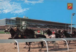 L'Hippodrome Cote d'Azur French Harness Horse Race Racing Postcard