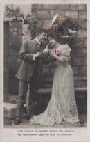 Lady Caressing Bird Under Antique House Nest Man Lovers Secret Code Old Postcard